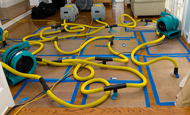 Professional Water Damage Repair technician working in Grandy, NC